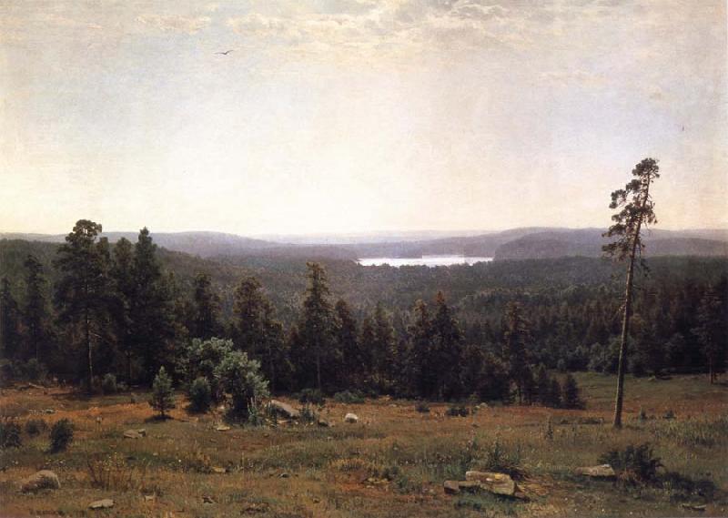 Ivan Shishkin Landscape of the Forest China oil painting art